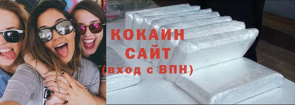 гашик Аркадак