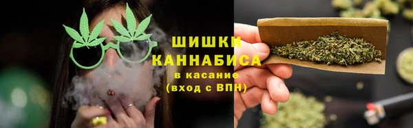 гашик Аркадак