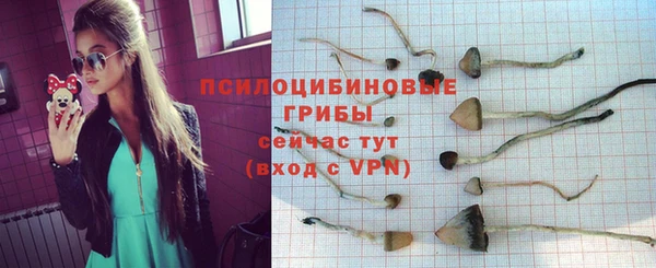 герыч Арсеньев