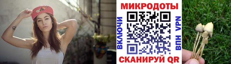 кракен как зайти  Мамадыш  Псилоцибиновые грибы мицелий 